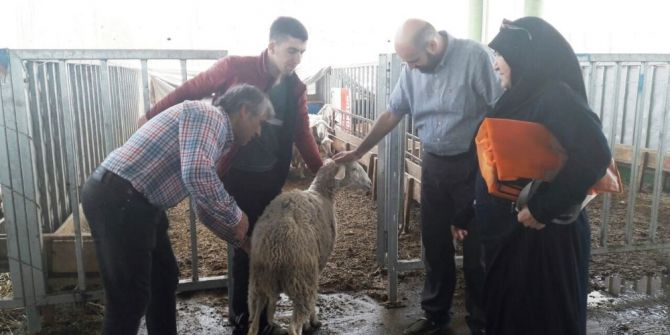 Adakçılar Modern Hayvan Pazarında