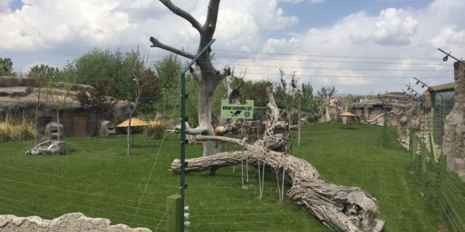 Eskişehir Hayvanat Bahçesi’nde Skandal Görüntü