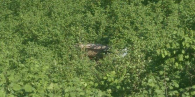 Ordu’da Kamyonet Uçuruma Yuvarlandı: 1 Ölü, 2 Yaralı