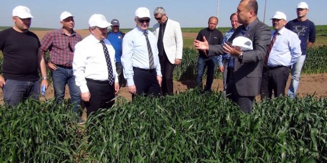 Türkiye Yüzde 100 Yerli Tohum Üretiyor
