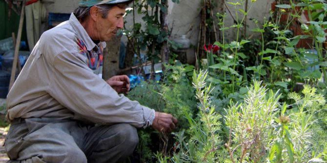 Hayatını Şifalı Bitkilere Adadı
