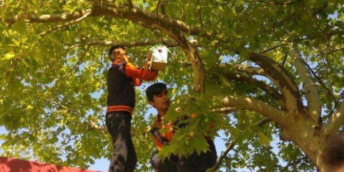 Öğrenciler, “Kuşlar Yuvaya” Projesini Hayata Geçirdi