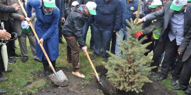 Kars’ta 15 Temmuz Hatıra Ormanı Oluşturuldu