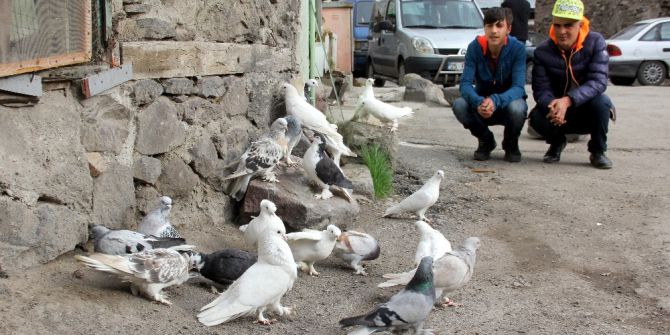 Otomobil Fiyatına Güvercin