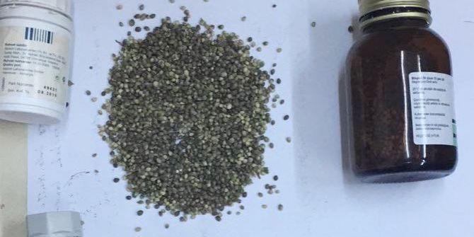 Evin Damında Kenevir Serası