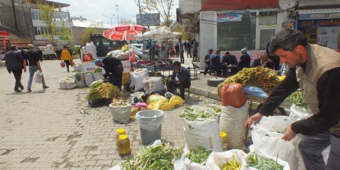 Dağdan Topladıkları Otları Satarak Geçimlerini Sağlıyorlar