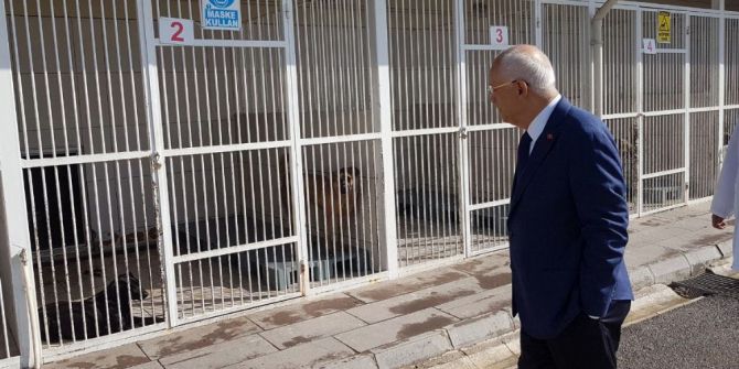 Yenimahalle Belediye Başkanı Yaşar’dan Yakın Takip