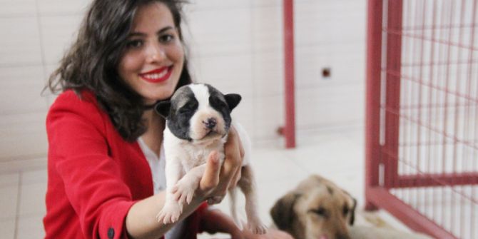 Elazığ’ın Köpekleri Amerikalı Oldu