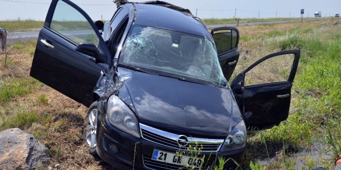 Kaplumbağayı Ezmemek İçin Manevra Yapınca Takla Attı