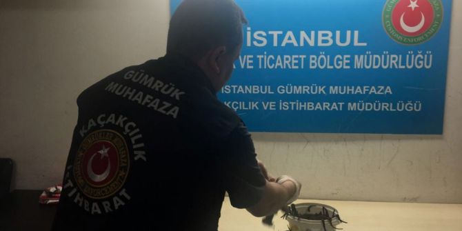 Atatürk Havalimanında Tül Çorap İçerisinde 83 Kilogram Sülük Yakalandı