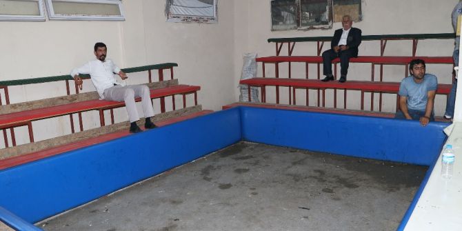 Horozları Ünlü Boksörlerin İsmini Verip Dövüştürdüler