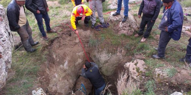 Çukura Düşen Büyükbaş Hayvanı Afad Ekipleri Çıkardı