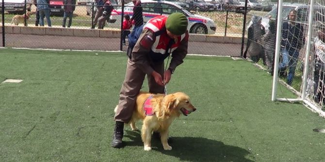 Çocukların Jandarmanın Arama Kurtarma Narkotik Köpeklerine İlgisi