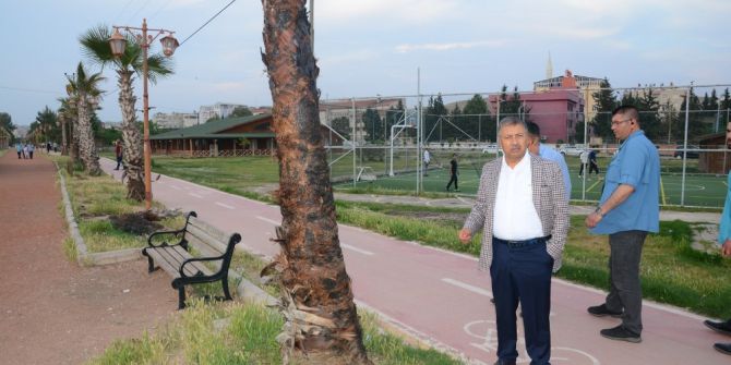 Parklardaki Ağaçları Yaktılar