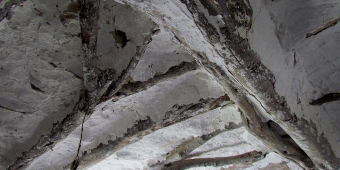 Çeşme’de Doğa Ve Kültür Gezisi