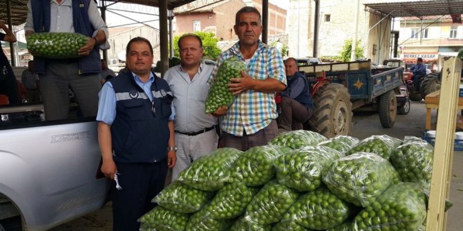 Kısa Süre Fiyatı 400 Lira Olan Erik Şimdi 7 Tl