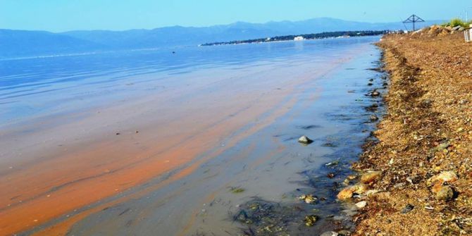 Burhaniye’de Deniz Sarıya Boyandı