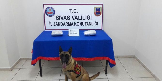 Sivas’ta 3 Kilo Esrar Ele Geçirildi