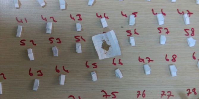 Bitlis’te Eş Zamanlı Uyuşturucu Operasyonu