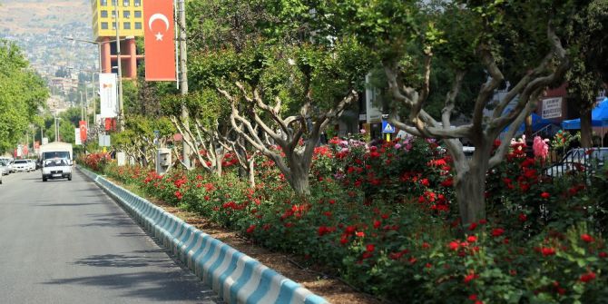 Kahramanmaraş’ta Yollar Çiçek Açtı