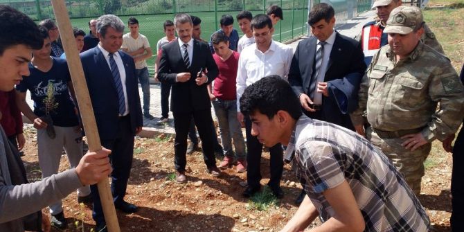 Besni’de Fidanlar Toprakla Buluştu