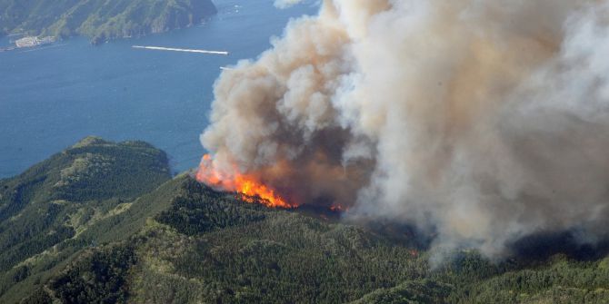 Japonya’da Orman Yangını
