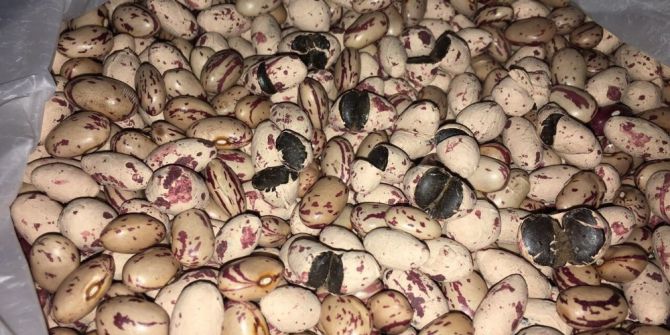 Emniyet Genel Müdürlüğü’nden Yurt Genelinde Dev Operasyon