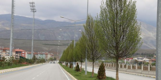 Erzincan’da Ağaçlandırma Çalışması