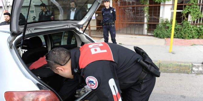 Köprünün Altındaki Uyuşturucuyu Alfa Böyle Buldu