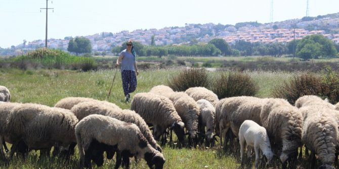 Sertifikalı Modern Kadın Çoban