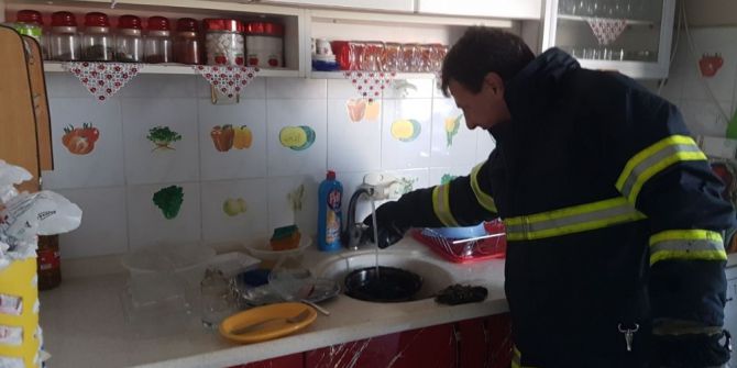 Torununa Patates Kızartayım Derken Evi Yakıyordu