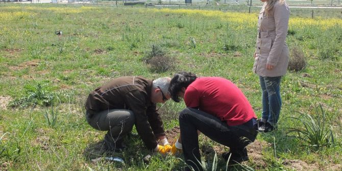 30 Fidan Dikip Uzlaştılar
