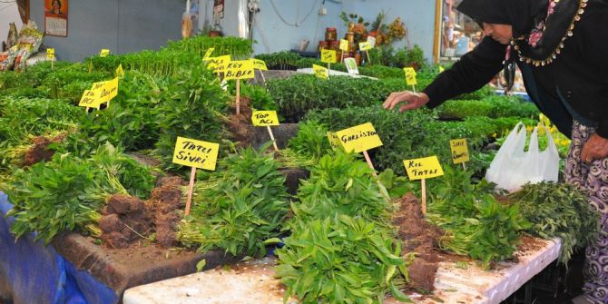 Eskişehir’de Sebze Ve Meyve Fideleri Tezgahlardaki Yerlerini Aldı