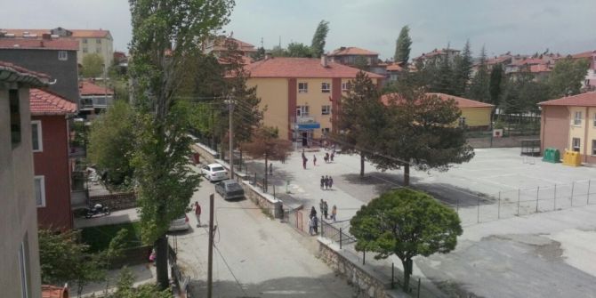 Yaşlı Kavak Ağacı Öğrencilerin Can Güvenliğini Tehdit Ediyor