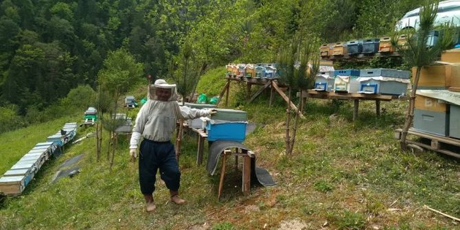 Arıcılar Mevsimden Umutlu