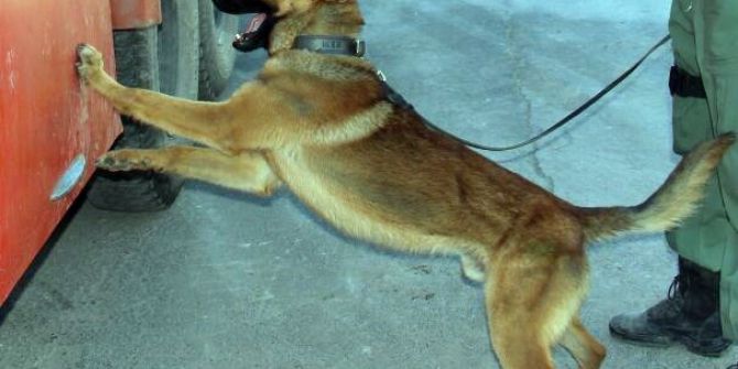Narkotik Köpeği ’Dino’ Uyuşturucu Tacirlerine Göz Açtırmıyor