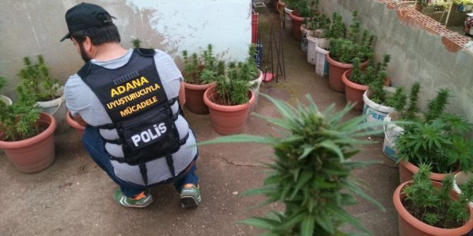 Damdaki Manzara Polisi Bile Şaşkına Çevirdi