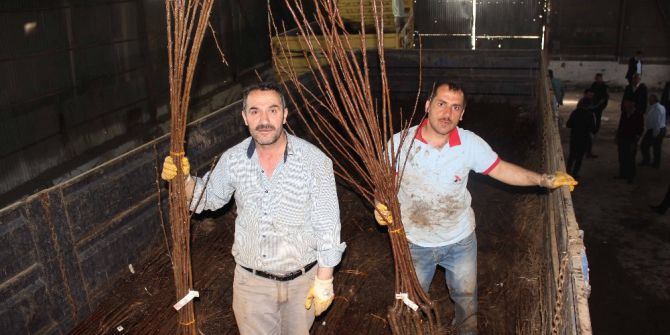 Muş’ta 32 Bin Meyve Fidanı Dağıtıldı