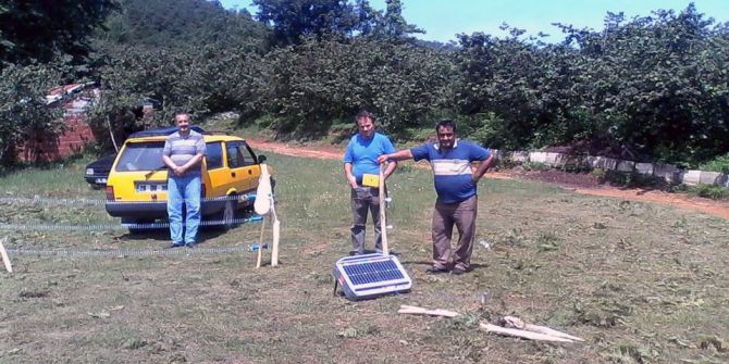 Arı Yetiştiricilerine Ayı Uyarısı