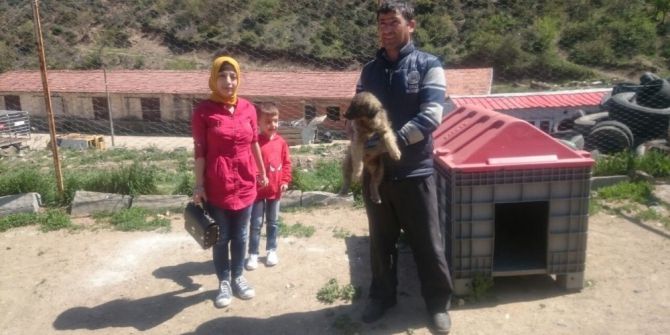 Simav’a Köpek Barınağı