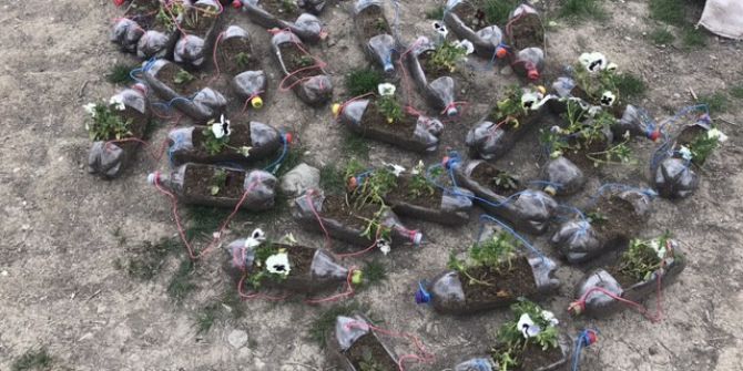 Edremit’te Çiçek Fideleri Dikimi