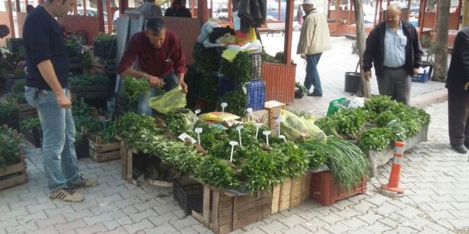 Organik Sebze Fideleri, Emet Köylü Pazarında