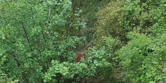 Otomobil Uçuruma Yuvarlandı: 1 Yaralı