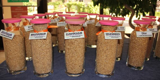 Bakliyatta Alarm Zilleri Çalıyor