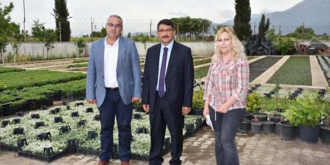 Kendi Çiçeklerini Yetiştirip İlçeyi Renklendiriyorlar