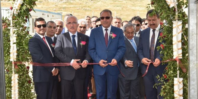 Karagül Süs Bitkileri Sektörüne Kazandırılıyor