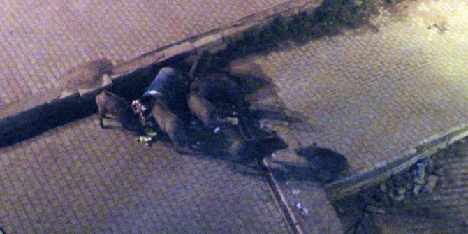 Tunceli’de Yaban Domuzları Çöplere Dadandı