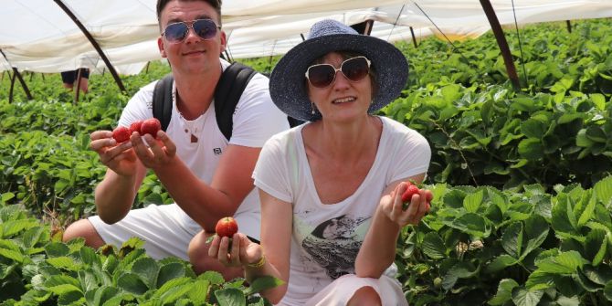 Çilek Seraları Ve Meyve Bahçeleri Turistlere Açıldı