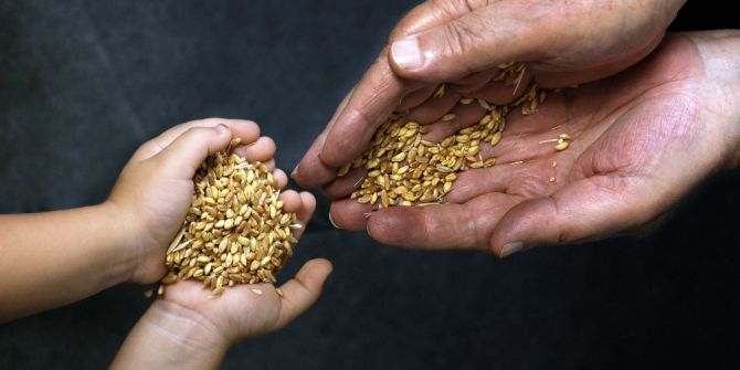 Seferihisar’da ’Yerel Tohumu Yaşatıyoruz’ Etkinliği