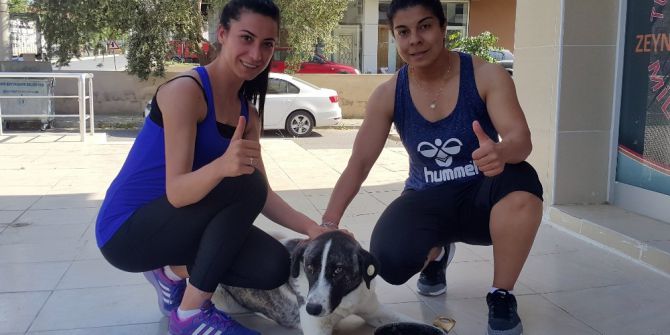 Sokak Köpeklerini Besleyen Sporcu Kadınlara Darp İddiası